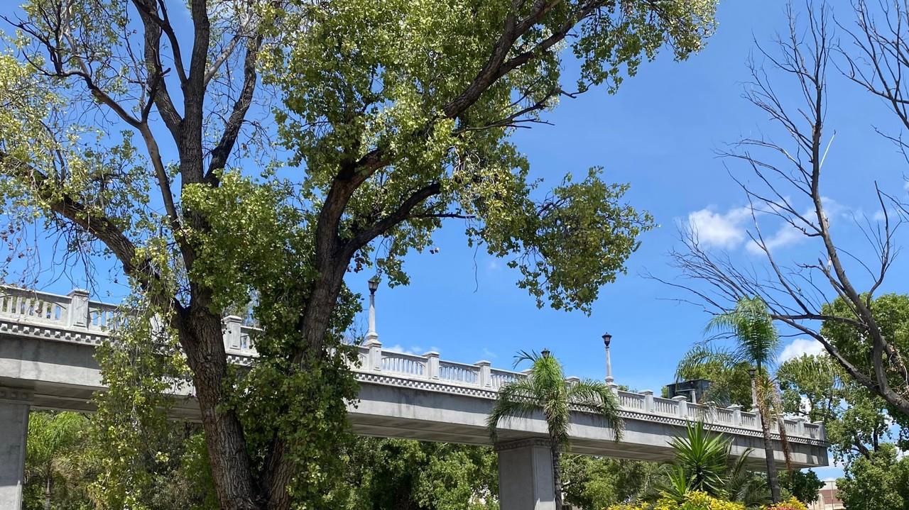 Las lluvias regresarán a gran parte de la entidad gracias a la tormenta tropical Ileana, que llegó a las costas del estado vecino de Sinaloa. Foto: Alejandra Hernández.