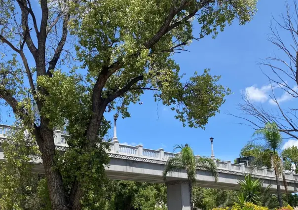 Vuelven las lluvias a Durango gracias a Ileana