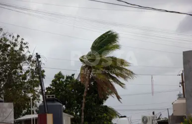 OOMSAPAS advierte sobre salida de operación de pozos solares durante lluvia