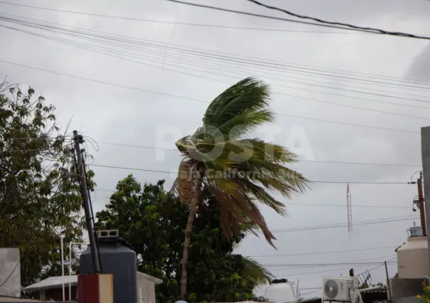 OOMSAPAS advierte sobre salida de operación de pozos solares durante lluvia