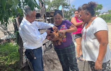 Aplicarán más de 300 mil vacunas a mascotas