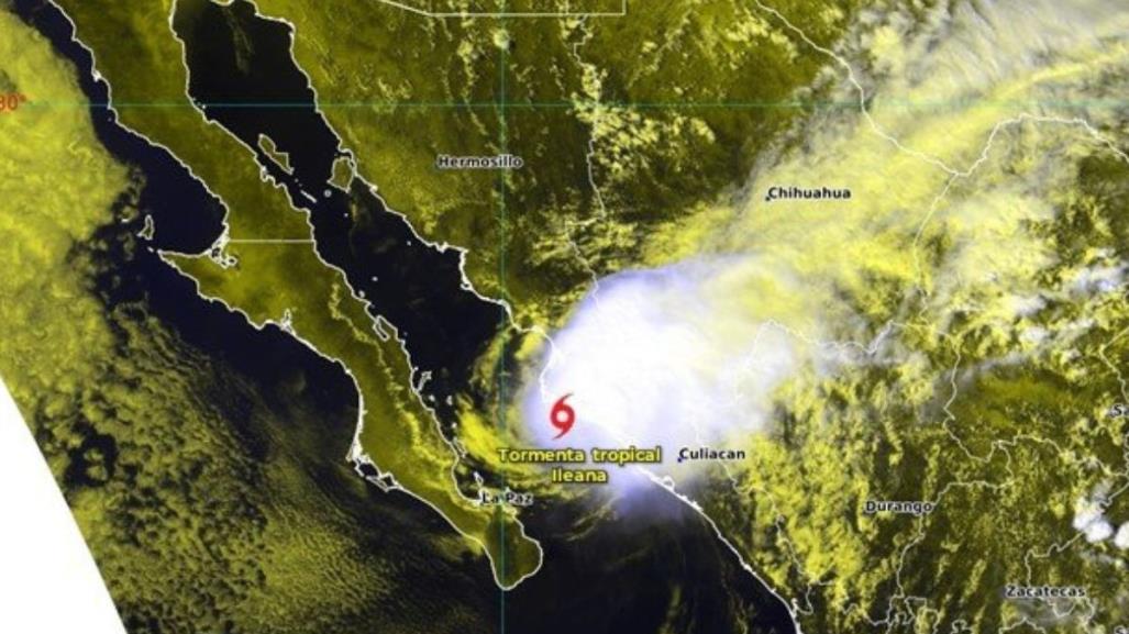 Tormenta tropical Ileana se debilita y toca tierra en Sinaloa