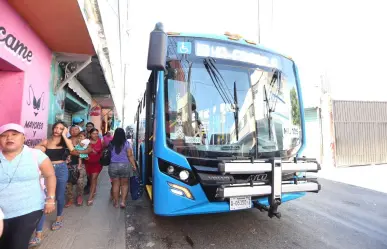 Transporte público asegurado durante los festejos patrios en Mérida