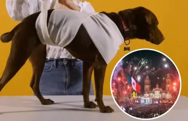 Cómo mantener a tu perro tranquilo durante los fuegos artificiales del Grito