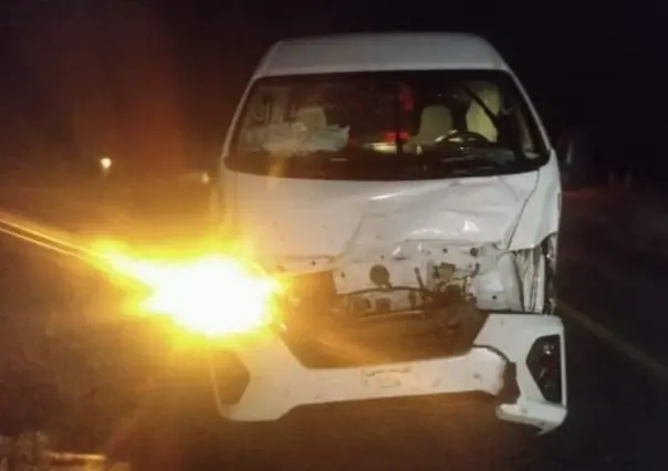 Pierde el control conductor y choca contra vaca en la carretera a Todos Santos