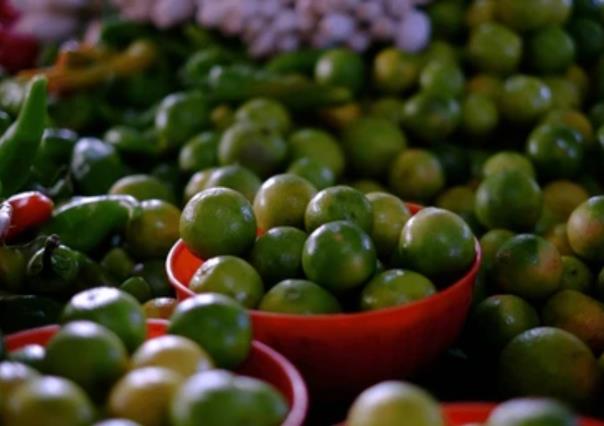 Limoneros de Michoacán paran labores por segunda vez en el año por violencia