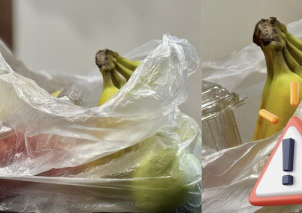 Bolsas de plástico continúan en uso en la CDMX, a pesar de prohibición