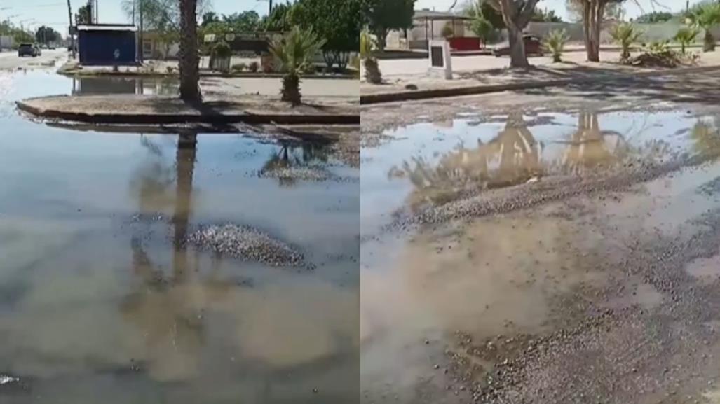 Denuncian grave problema de aguas negras en Ciudad Constitución