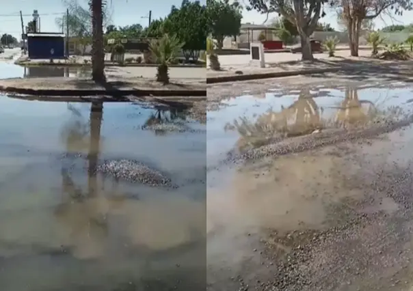 Denuncian grave problema de aguas negras en Ciudad Constitución