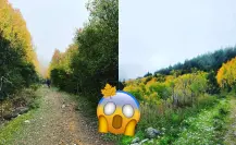 La Sierra de la Marta: Un destino para los amantes del otoño en Coahuila