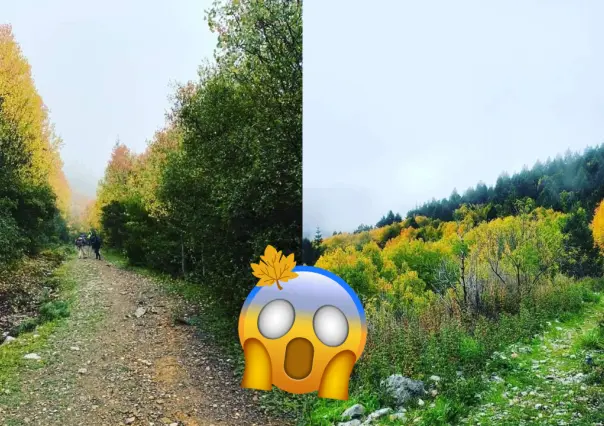 La Sierra de la Marta: Un destino para los amantes del otoño en Coahuila