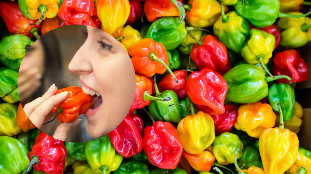 ¡Más allá del picante! El chile habanero y sus beneficios para la salud