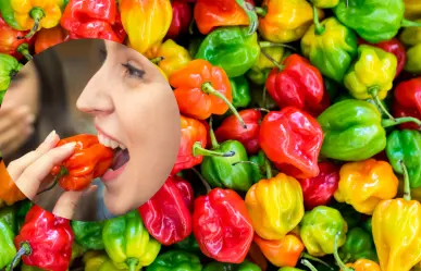 ¡Más allá del picante! El chile habanero y sus beneficios para la salud