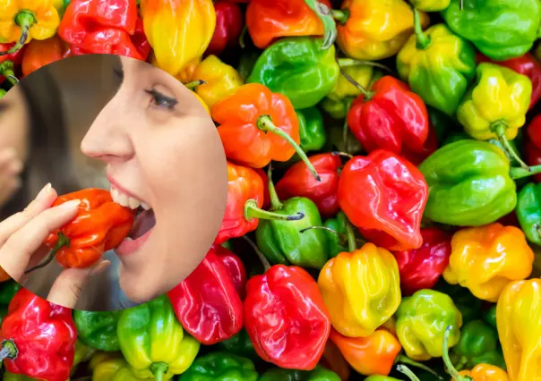 ¡Más allá del picante! El chile habanero y sus beneficios para la salud