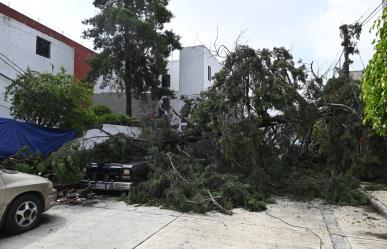 Siguen las labores de limpieza tras caída de árboles e inundaciones en Naucalpan