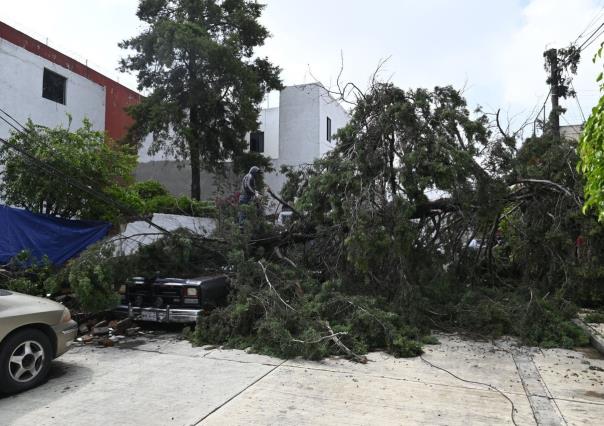 Siguen las labores de limpieza tras caída de árboles e inundaciones en Naucalpan