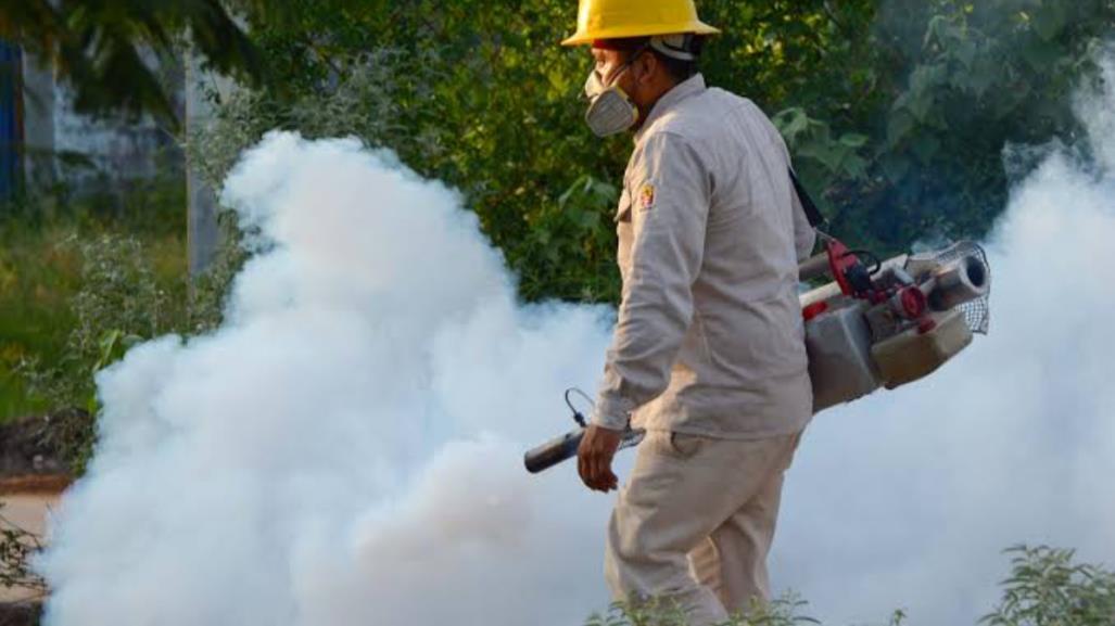 Tamaulipas rompe la barrera de los mil casos de dengue