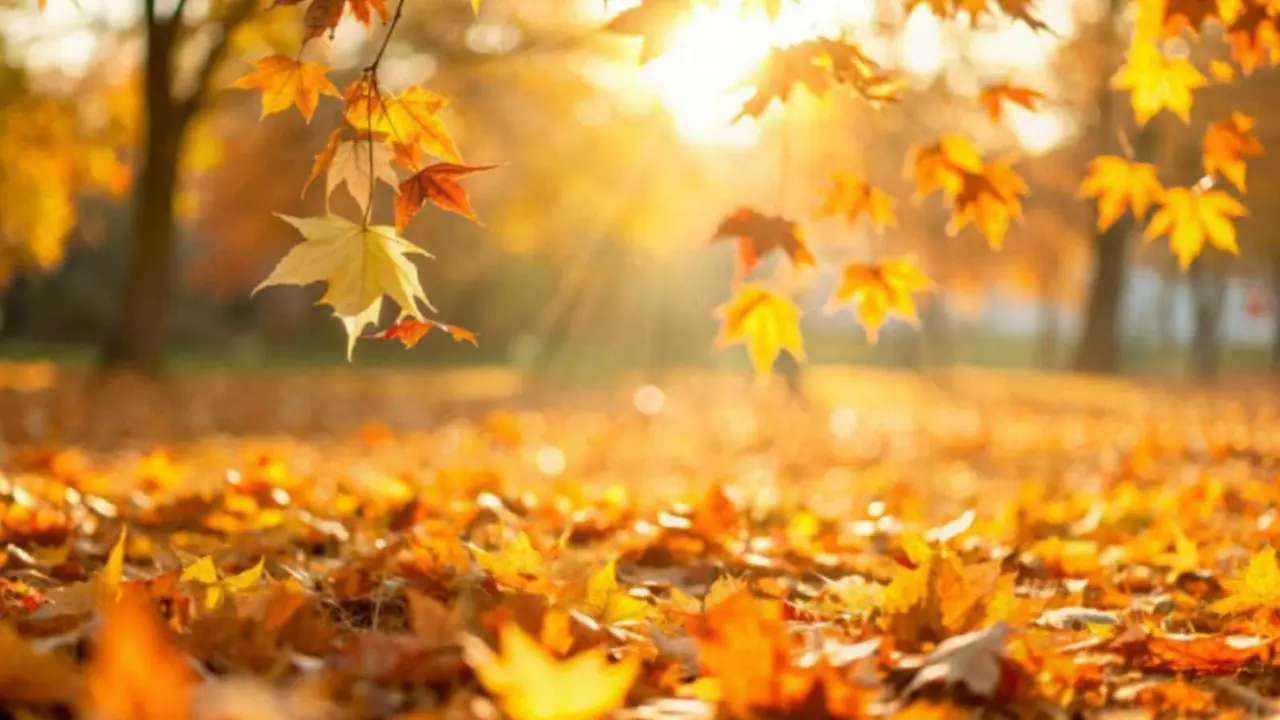 En el equinoccio de otoño el día y la noche duran exactamente 12 horas. Foto: Shutterstock