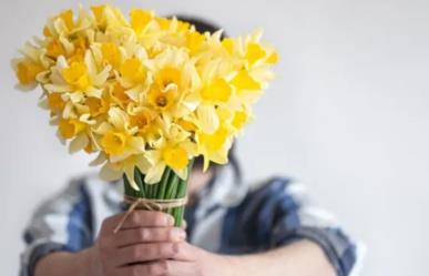 ¿Cómo surge la tradición de entregar flores amarillas?