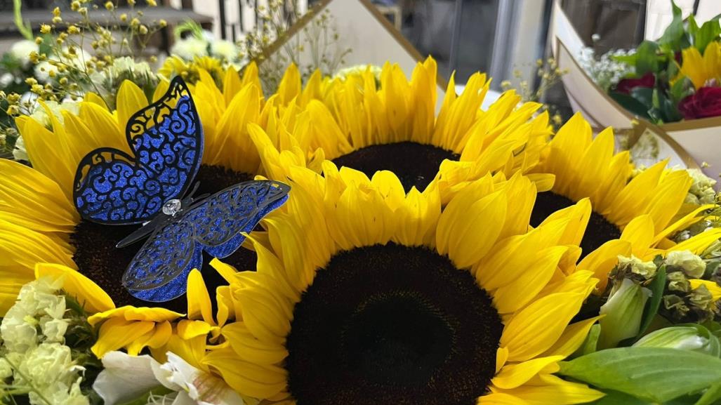 ¿Precios por las nubes? Esto cuestan las flores amarillas en Saltillo