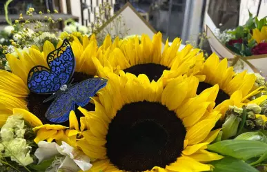 ¿Precios por las nubes? Esto cuestan las flores amarillas en Saltillo