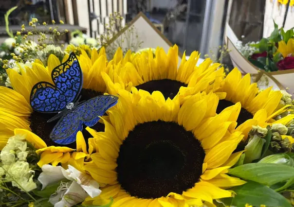 ¿Precios por las nubes? Esto cuestan las flores amarillas en Saltillo