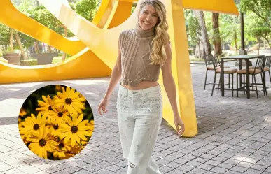 Flores amarillas: ¿Qué fue de la vida de los actores de Floricienta?