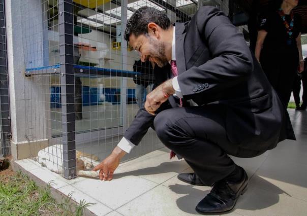 ¡Por los animales! Así es el centro Michigan y espacio de fauna silvestre