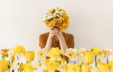 ¿Conoces la novela que inspiró a miles de jóvenes a regalar flores amarillas?