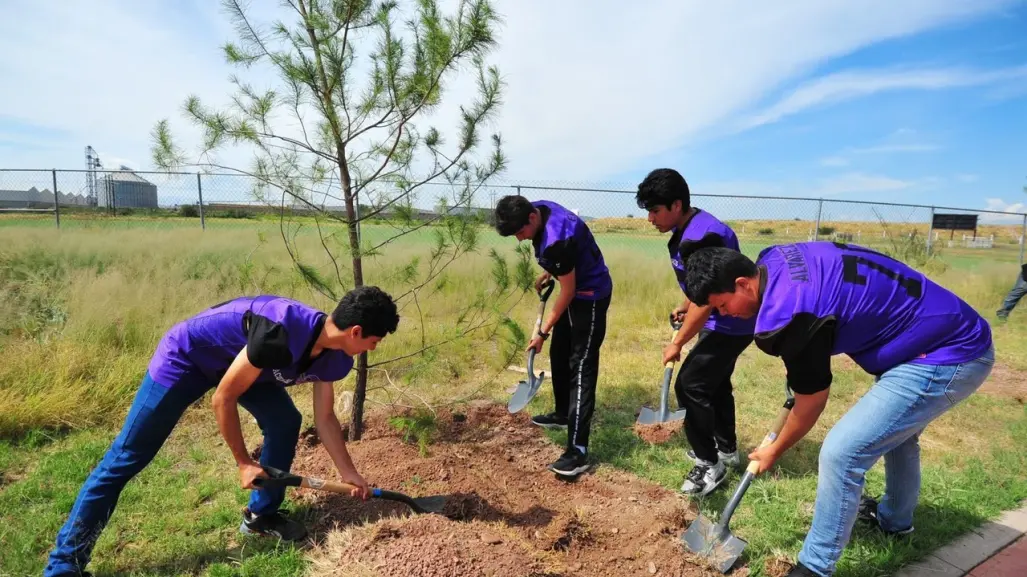 Se habilitan en Durango 22 micro bosques urbanos, la mayoría en escuelas