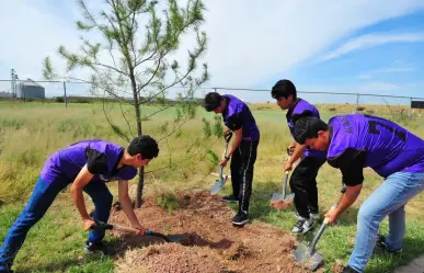 Se habilitan en Durango 22 micro bosques urbanos, la mayoría en escuelas