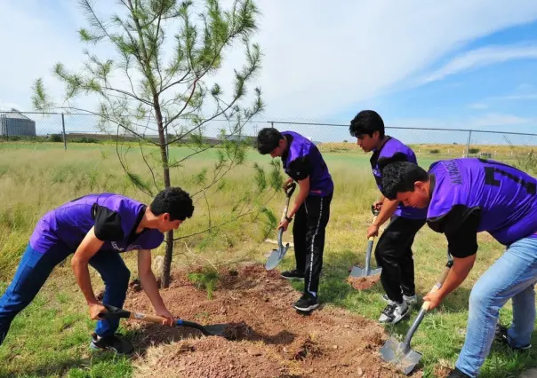 Se habilitan en Durango 22 micro bosques urbanos, la mayoría en escuelas