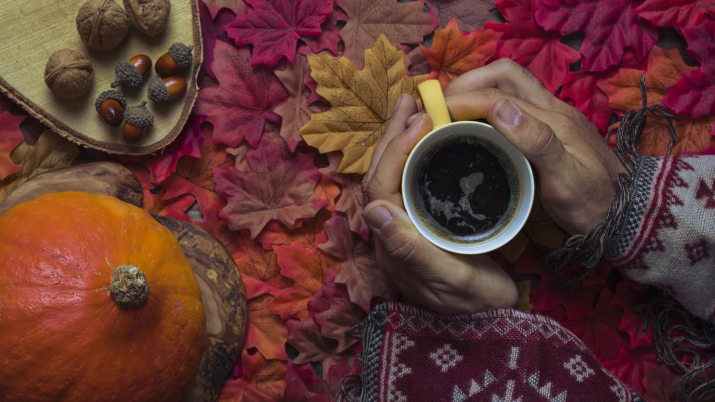 Bienvenido otoño 2024: Conoce los rituales y aprovecha la energía del equinoccio