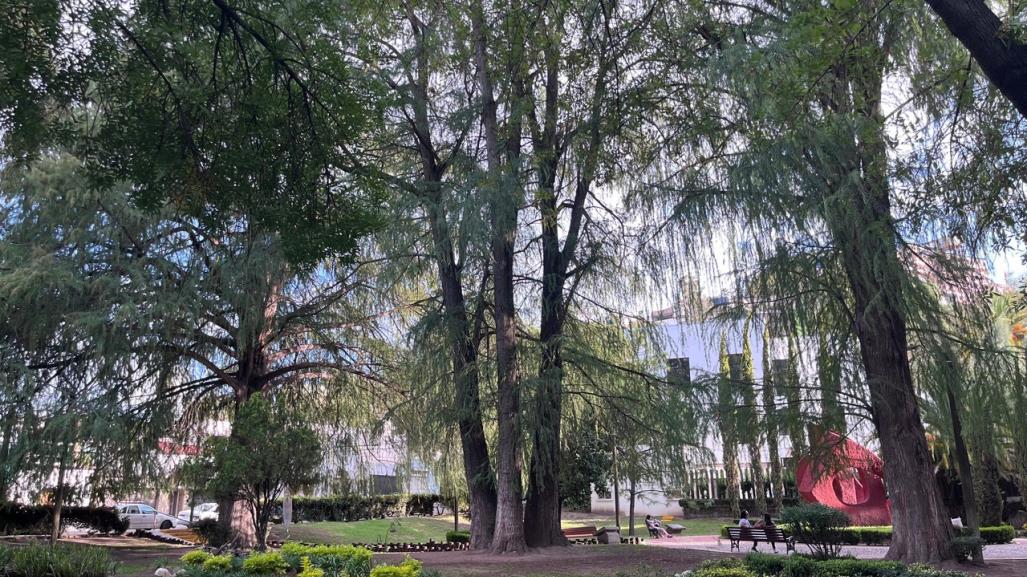 Arranca el Otoño ¿Qué esperas para visitar el Parque Guadiana?