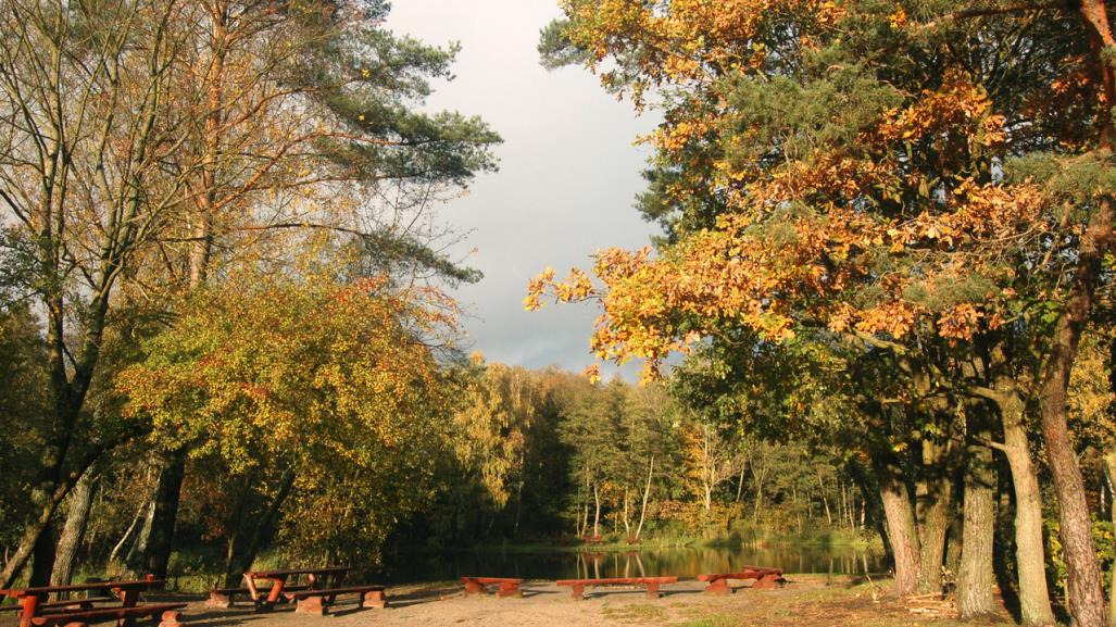 Equinoccio de Otoño: ¿Qué es y que cambios trae al día?