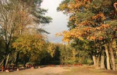 Equinoccio de Otoño: ¿Qué es y que cambios trae al día?