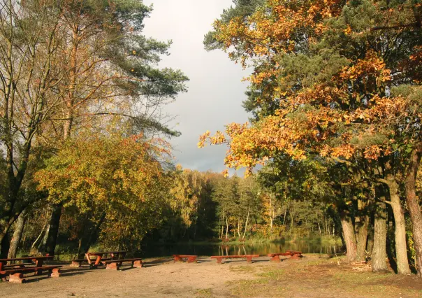 Equinoccio de Otoño: ¿Qué es y que cambios trae al día?