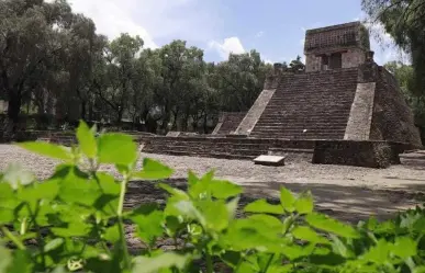 Sumérgete en la historia: Explora las joyas arqueológicas del Edomex