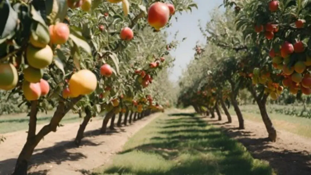 Arboles frutales. Foto: Canva.