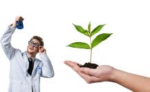 La vida secreta de las plantas: comunicación y respuesta en el reino vegetal