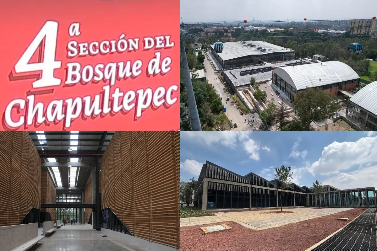 Cuarta sección del Bosque de Chapultepec.    Foto: Especial