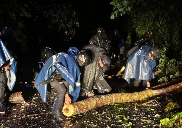 John deja dos muertos en Guerrero y alerta máxima en Oaxaca