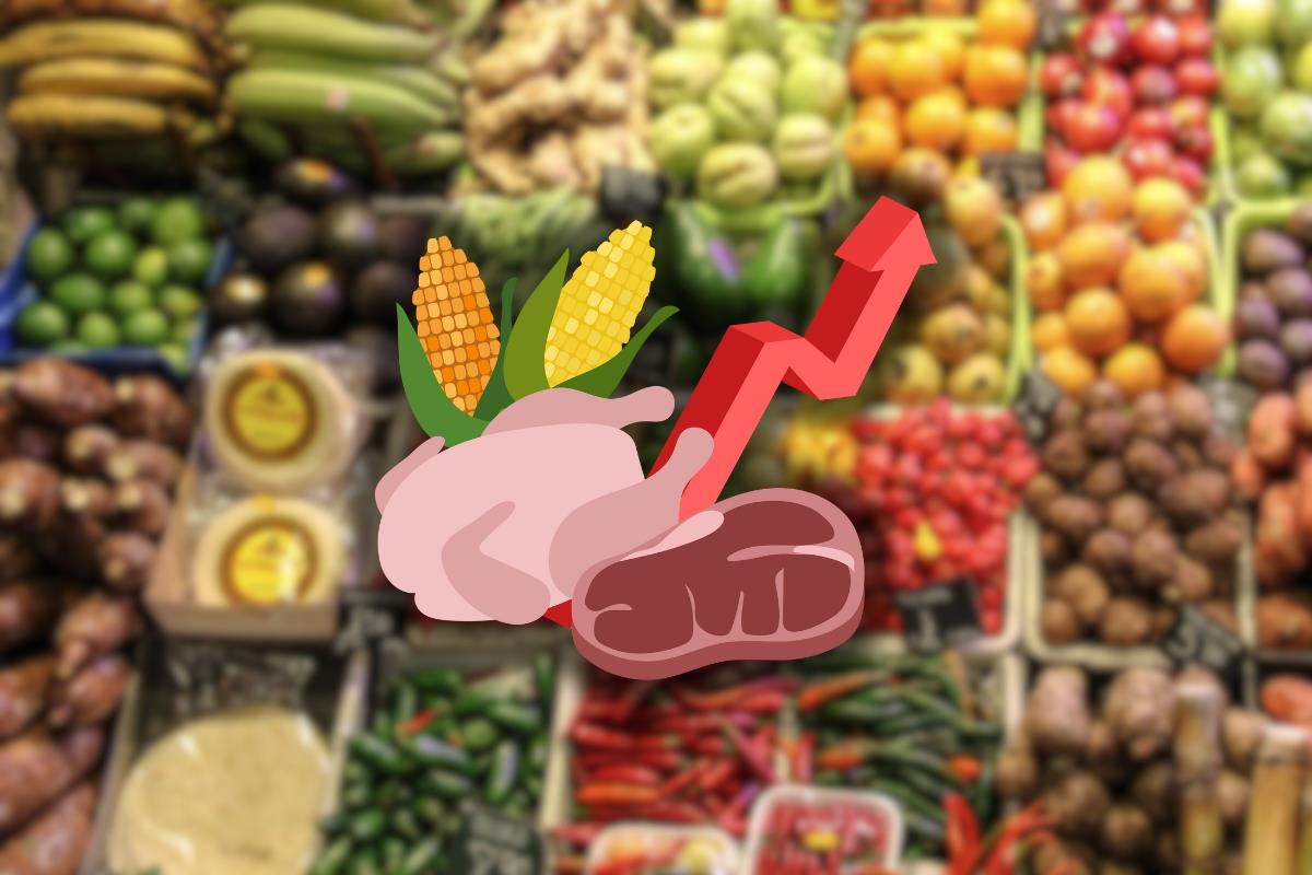 INGEI informa del Índice Nacional de Precios al Consumidor. Foto: jarmoluk