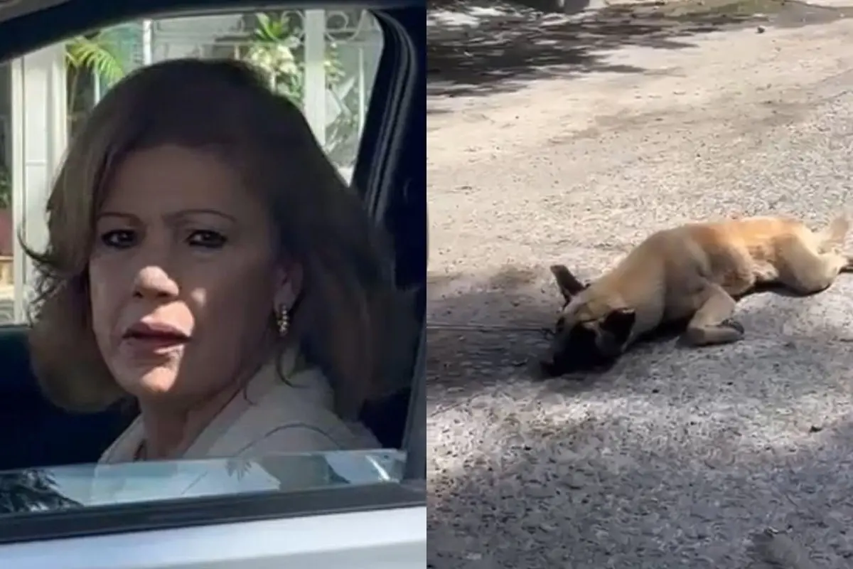 La mujer arrastró al perro durante varios metros Foto: X(Twitter) @JeSuisLaBOA