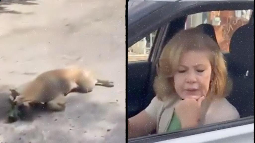 Me talló la camioneta: Mujer arrastra a perrito con su auto (VIDEO)