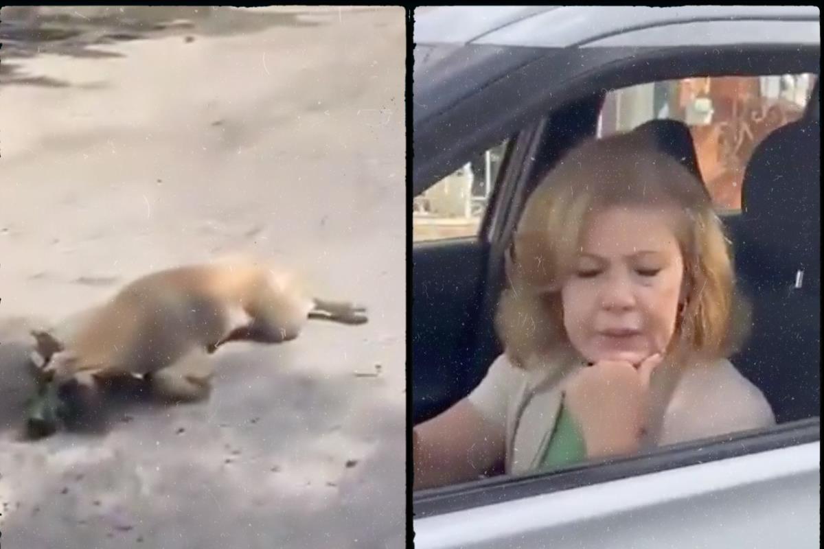 El suceso, que ocurrió en Tlaquepaque, Jalisco, muestra a una mujer de avanzada edad, discutiendo con ciudadanos, luego de que fuera sorprendida arrastrando a un perro con su camioneta. Foto: X.