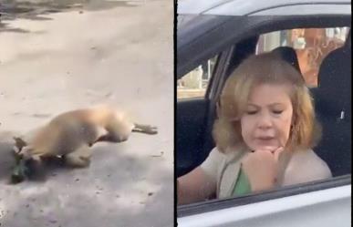 Me talló la camioneta: Mujer arrastra a perrito con su auto (VIDEO)