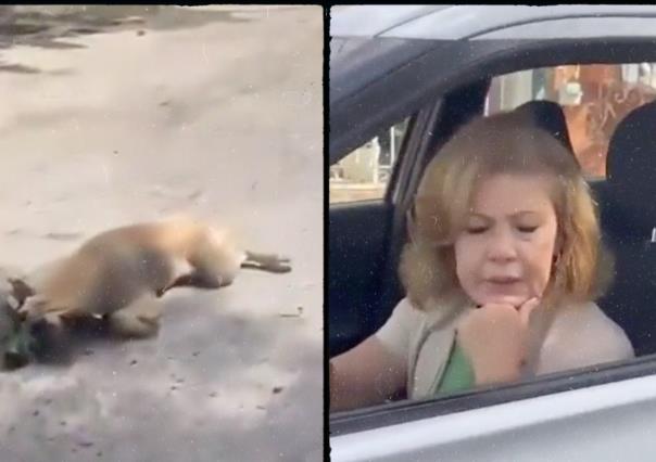 Me talló la camioneta: Mujer arrastra a perrito con su auto (VIDEO)