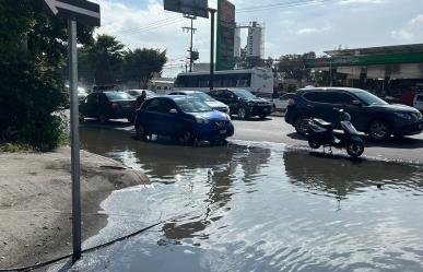 Baches y coladeras destapadas ¡Un peligro en Ecatepec!