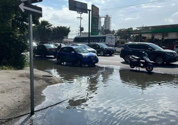 Baches y coladeras destapadas ¡Un peligro en Ecatepec!